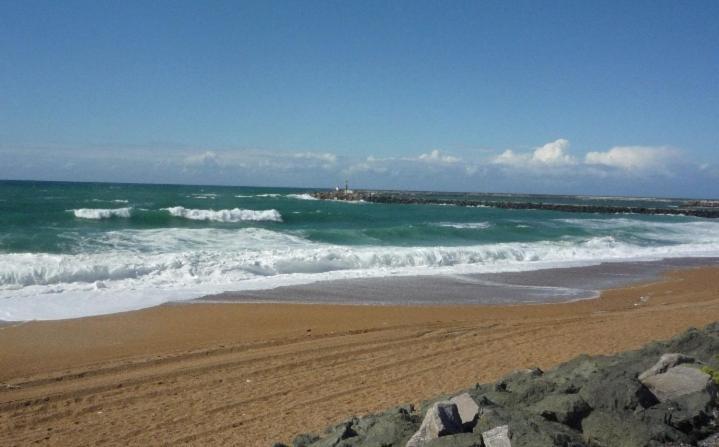 Le Cocon D'Aguilera A 200M Du Stade Et 2Km De La Plage アングレット エクステリア 写真